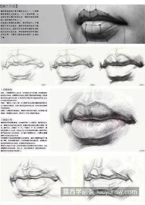 素描五官嘴的结构分析与步骤讲解 超强干货素描嘴巴的刻画