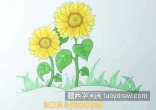 彩色风景向日葵简笔画怎么画 简单漂亮向日葵简笔画带步骤画法