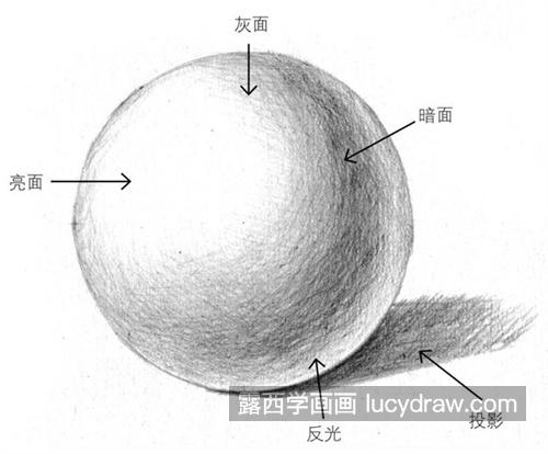 素描画入门画球体详细步骤 素描圆球体的超详细画法