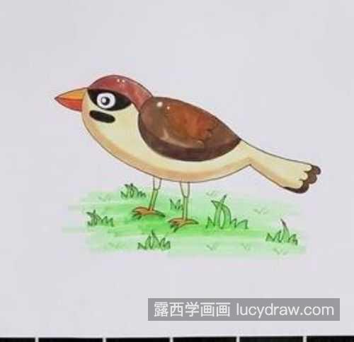 麻雀简笔画简单又漂亮图片大全 彩色可爱麻雀简笔画画法教学