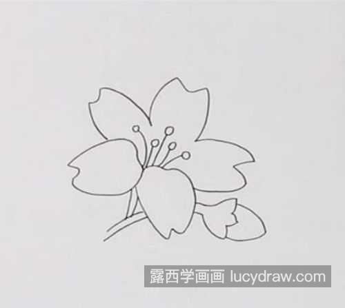 儿童颜色迎春花简笔画怎么涂 带颜色迎春花简笔画图片大全