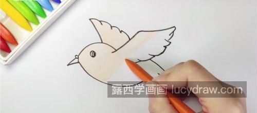 简单又好看鸽子简笔画图片大全 可爱涂颜色兔子简笔画画法教程