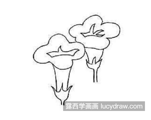 简单又好看牵牛花简笔画画法图片 简单又漂亮牵牛花简笔画怎么画