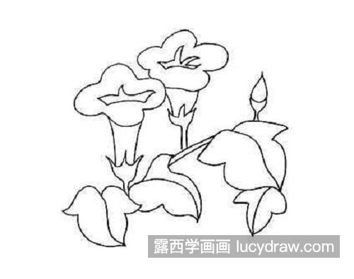 简单又好看牵牛花简笔画画法图片 简单又漂亮牵牛花简笔画怎么画