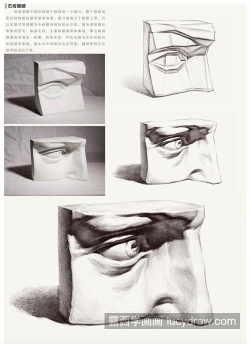 素描教程素描石膏像眼睛详解 素描石膏像五官训练眼睛的画法