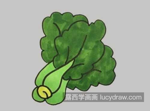 又好看又漂亮青菜简笔画带步骤画法 简单彩色青菜简笔画教程