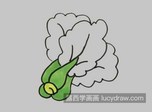 又好看又漂亮青菜简笔画带步骤画法 简单彩色青菜简笔画教程