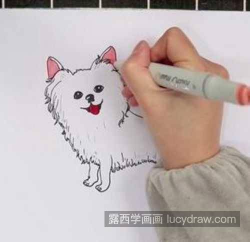 可爱卡通狗蝴蝶犬简笔画画法 高清狗蝴蝶犬简笔画图片大全大图