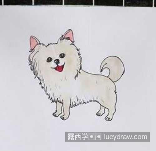 可爱卡通狗蝴蝶犬简笔画画法 高清狗蝴蝶犬简笔画图片大全大图