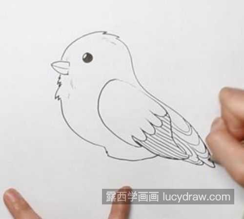 漂亮彩色小鸟简笔画一步一步画法 简单又漂亮小鸟简笔画教程