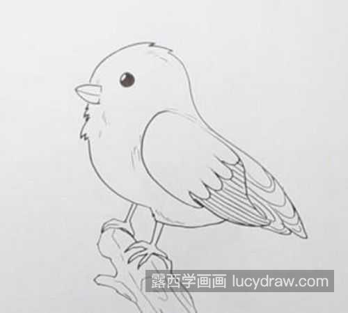 漂亮彩色小鸟简笔画一步一步画法 简单又漂亮小鸟简笔画教程