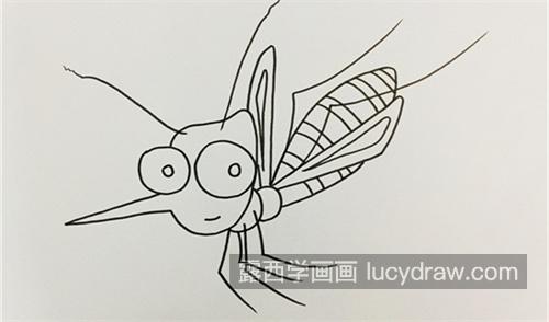 又好看又可爱蚊子的简笔画一步一步画法 简单又可爱蚊子的简笔画教程
