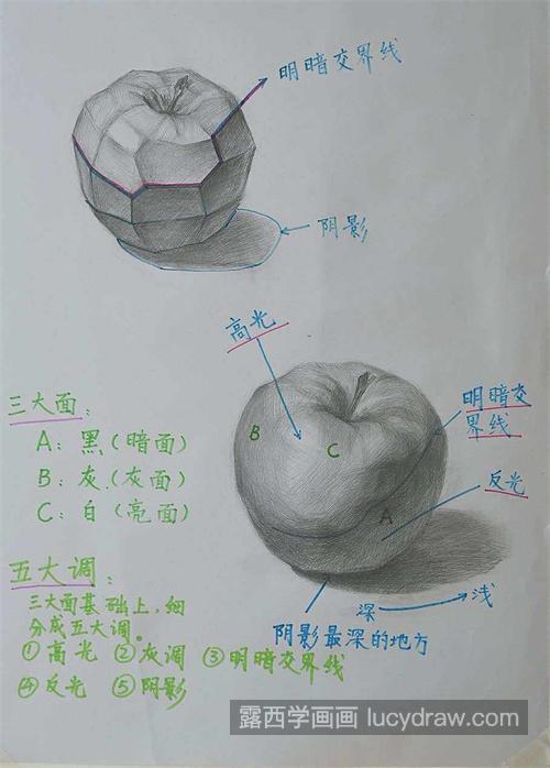 素描单体苹果超级详细的教程 素描静物苹果的画法步骤详解