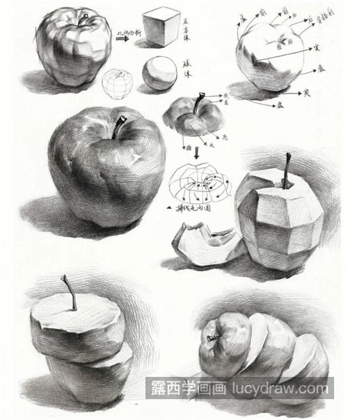 如何学素描静物水果绘画入门教程 素描静物单个水果塑造画法