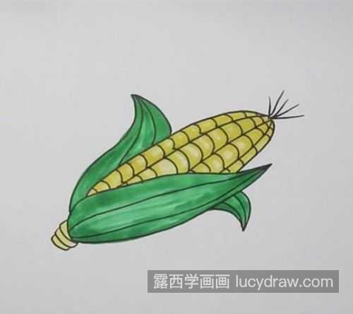又可爱又漂亮玉米简笔画画法教学 简单又好看玉米简笔画怎么画