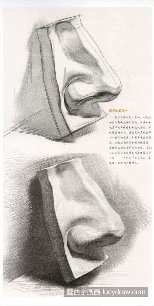 素描鼻子的画法看这一篇就够了 超强干货素描石膏像之鼻子的刻画