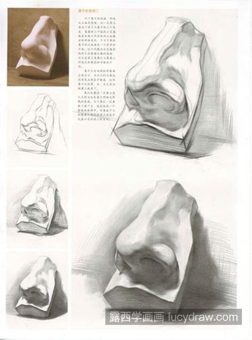 零基础素描素描鼻子教程 分步骤讲解四分之三侧面素描鼻子画法