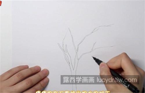 好看带枝干带树叶枫树简笔画怎么画 简单又漂亮枫树简笔画教程