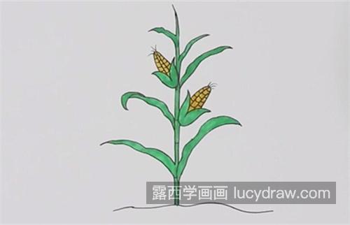 又可爱又漂亮玉米简笔画带步骤教程 简单又好看玉米简笔画画法
