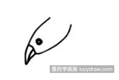 好看又漂亮海鸥的简笔画怎么画 又可爱又好看海鸥的简笔画画法