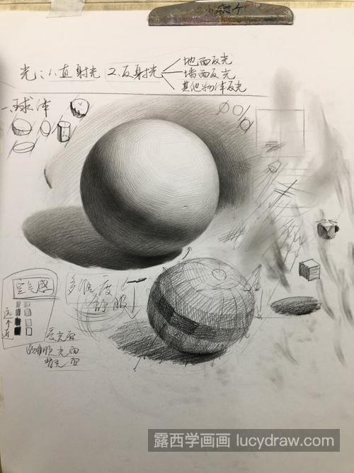 素描静物入门基础教程投影怎么画 美术生素描绘画投影画法