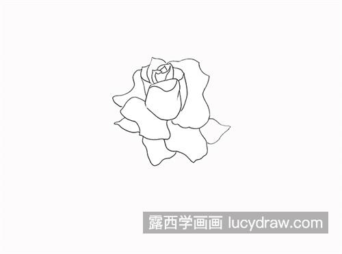 简单漂亮玫瑰花简笔画画法 彩色玫瑰花简笔画一步一步教学