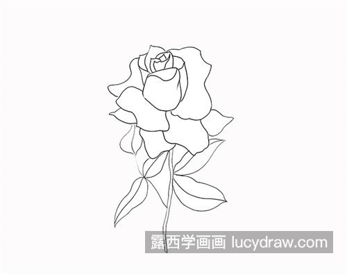 简单漂亮玫瑰花简笔画画法 彩色玫瑰花简笔画一步一步教学