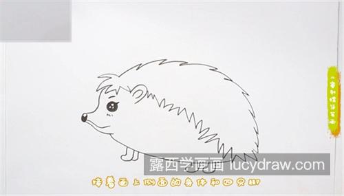 好看又简单刺猬简笔画怎么画 最简单猬简笔画一步一步画法