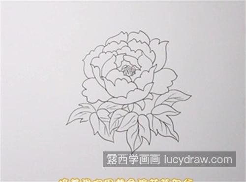 好看彩色版牡丹花简笔画带步骤教程 简单又好看牡丹花简笔画画法