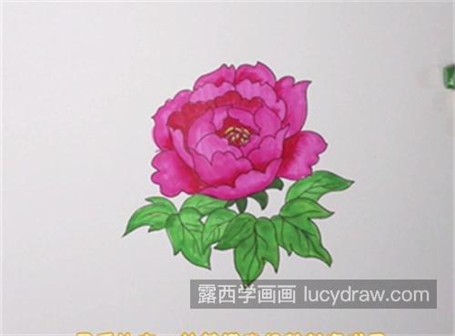 好看彩色版牡丹花简笔画带步骤教程 简单又好看牡丹花简笔画画法