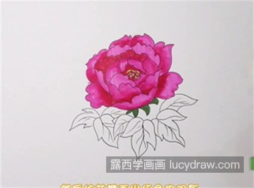 好看彩色版牡丹花简笔画带步骤教程 简单又好看牡丹花简笔画画法