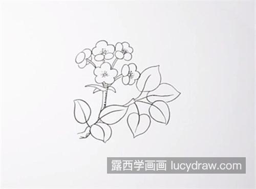 可爱卡通梨花简笔画教学 简单又漂亮梨花简笔画图片大全