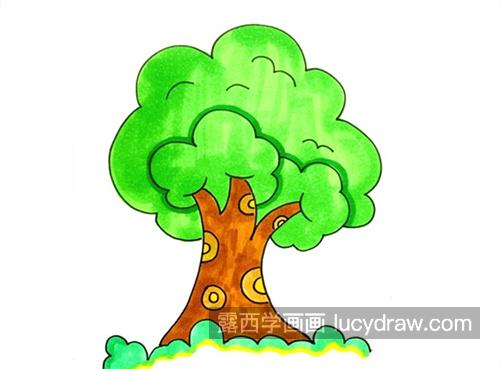 简单又漂亮大树简笔画怎么画 树干多枝树叶茂密大树简笔画教程