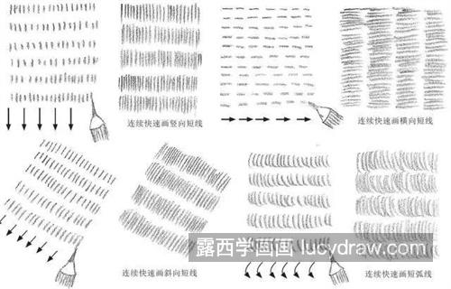 素描基础各种各样的线条及用法分析 想画好素描得先学会画线条