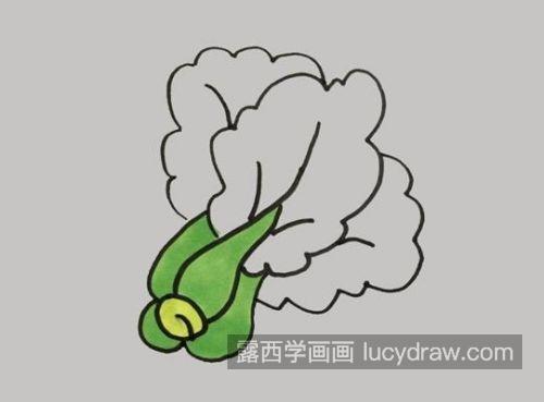 最简单的青菜简笔画怎么画 彩色好看青菜简笔画画法教学