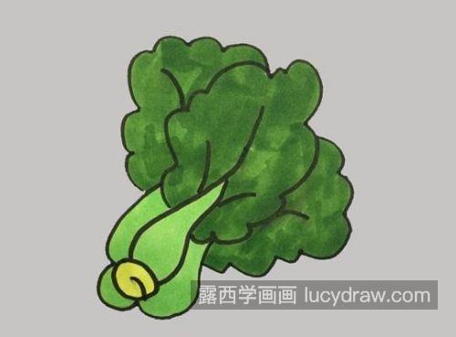 最简单的青菜简笔画怎么画 彩色好看青菜简笔画画法教学