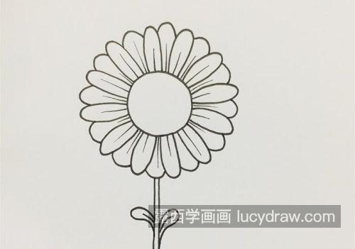 可爱简单雏菊简笔画图片大全，简单又漂亮雏菊简笔画画法