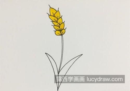 彩色简单小麦简笔画教学 可爱版小麦简笔画法大全大图