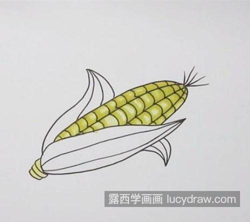 简单又好看玉米的简笔画带步骤教程 简单又漂亮玉米的简笔画怎么画
