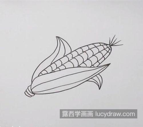 简单又好看玉米的简笔画带步骤教程 简单又漂亮玉米的简笔画怎么画