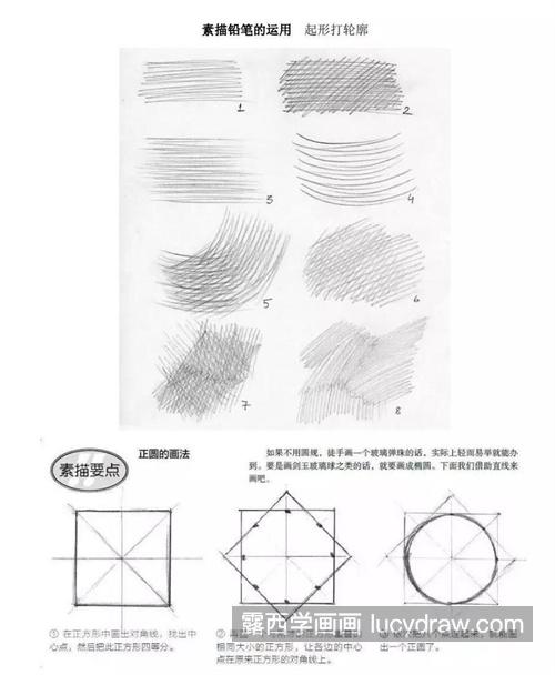 干货分享零基础素描线条画法教程 素描中线条的表现规律