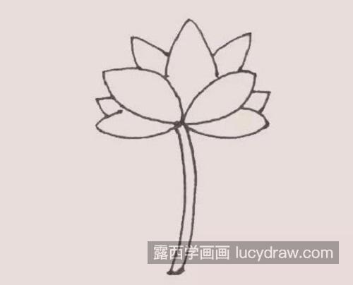 简单漂亮荷花的简笔画大全步骤 彩色好看荷花的简笔画画法