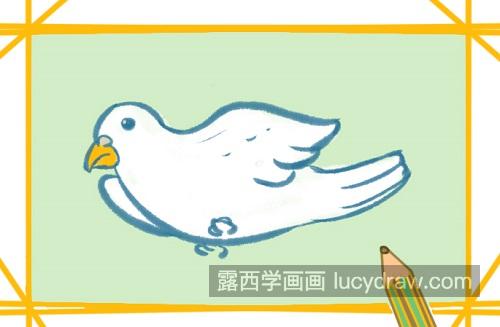 简单又漂亮鸽子的简笔画画法 可爱漂亮鸽子的简笔画教学