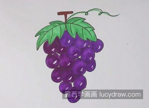 彩色版葡萄简笔画怎么画 最简单的葡萄简笔画带步骤教程